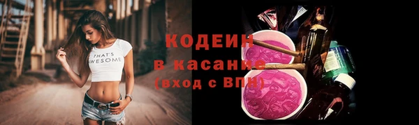 СК Медвежьегорск