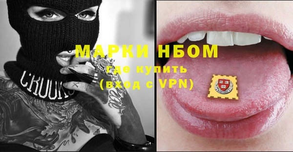 СК Медвежьегорск