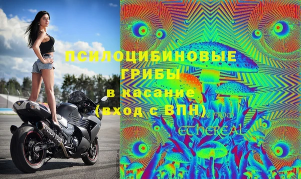 дживик Магас