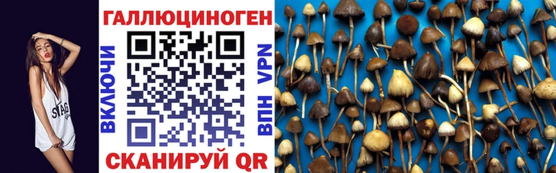 Галлюциногенные грибы Psilocybine cubensis  blacksprut зеркало  Хвалынск 